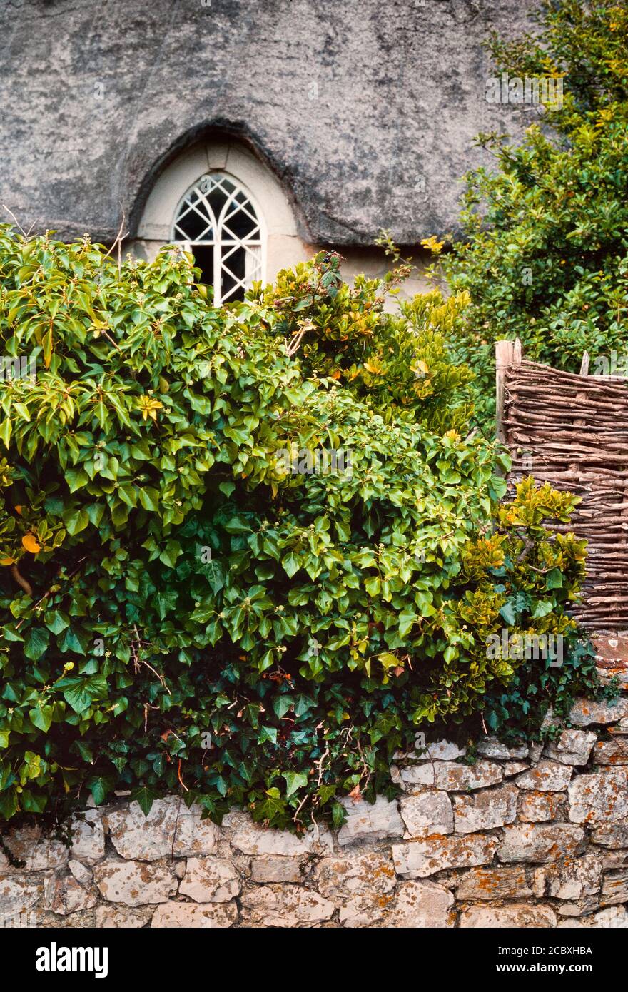 Scena rurale Devon, tetto di paglia, muro di pietra, Foto Stock