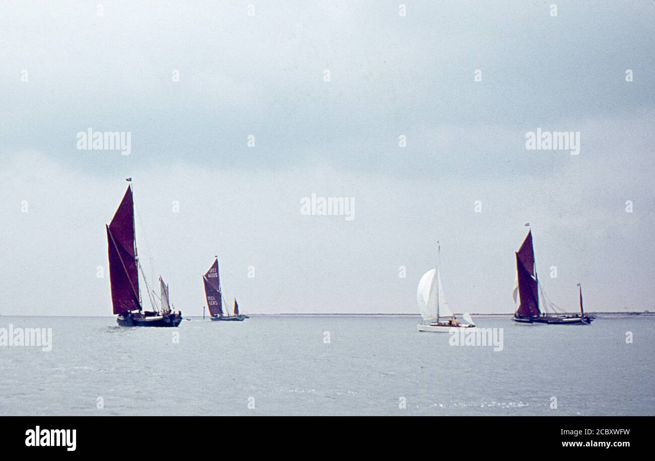 Spritsail rigged Thames barche a vela in gara nel Thames Sailing Barge Match. Primi anni '60. Foto Stock