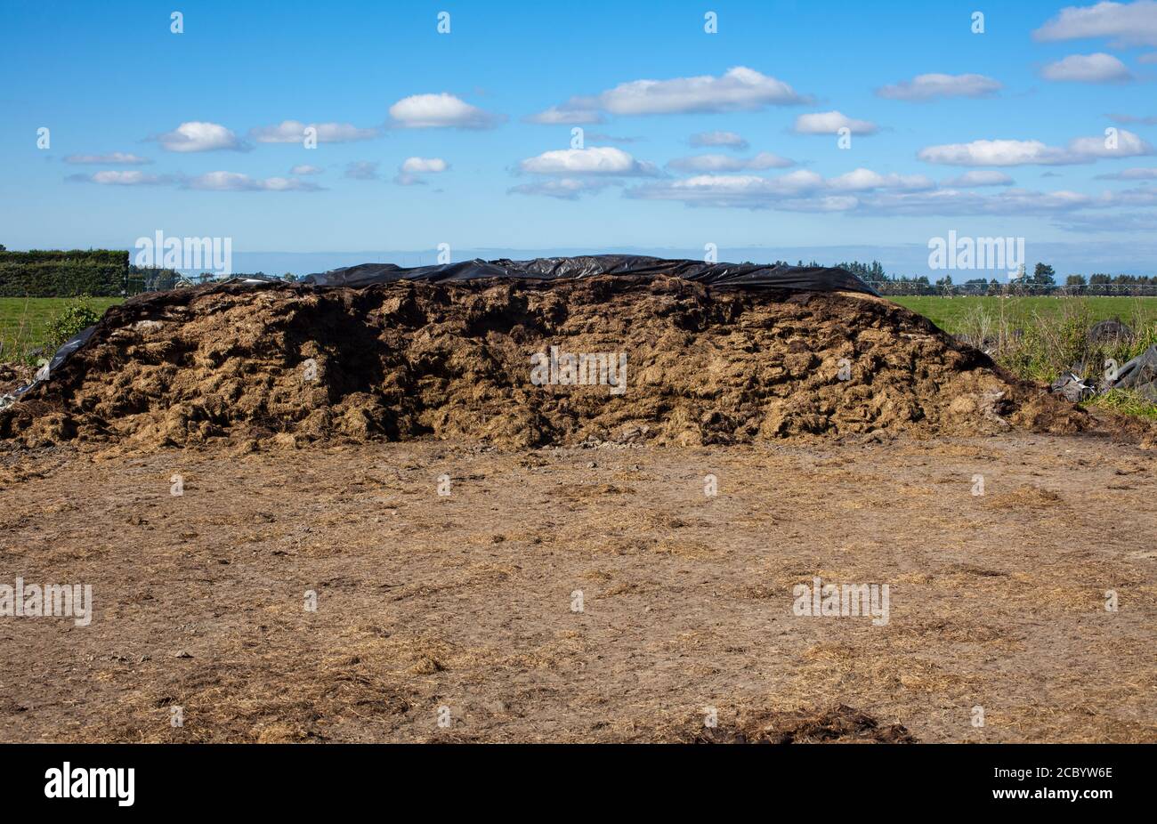 Scene della campagna della Nuova Zelanda: Foto Stock