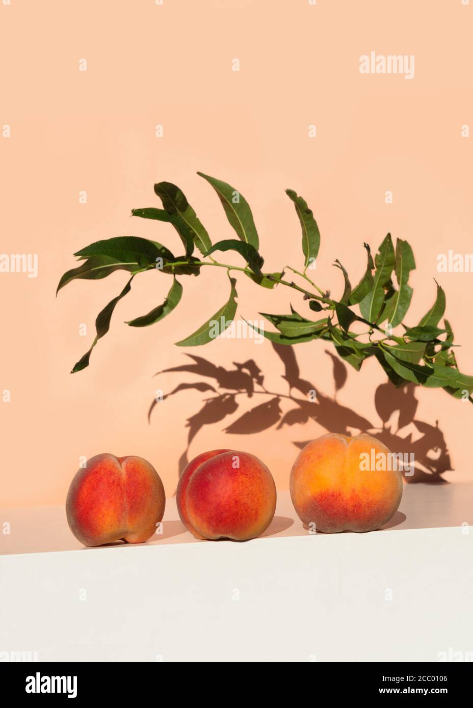 Pesche fresche mature su tavola bianca su sfondo di colore rosa arancio. Vista ad angolo basso. Concetto creativo di frutta estiva minima. Foto Stock