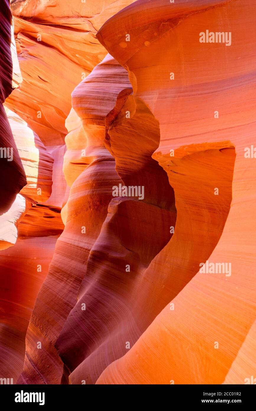 Ogni sogno turistico di entrare in questo mondo sotterraneo di Labirintici slot di Antelope Canyon inferiore in pagina Arizona scolpito con acqua in arenaria fo Foto Stock