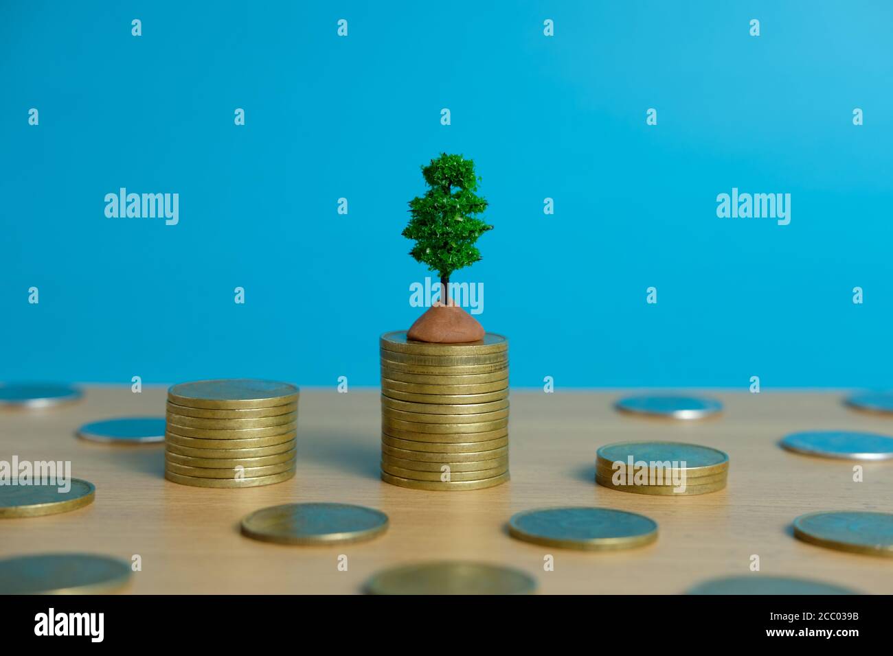 investimenti finanziari, albero di denaro in crescita su pila di monete Foto Stock