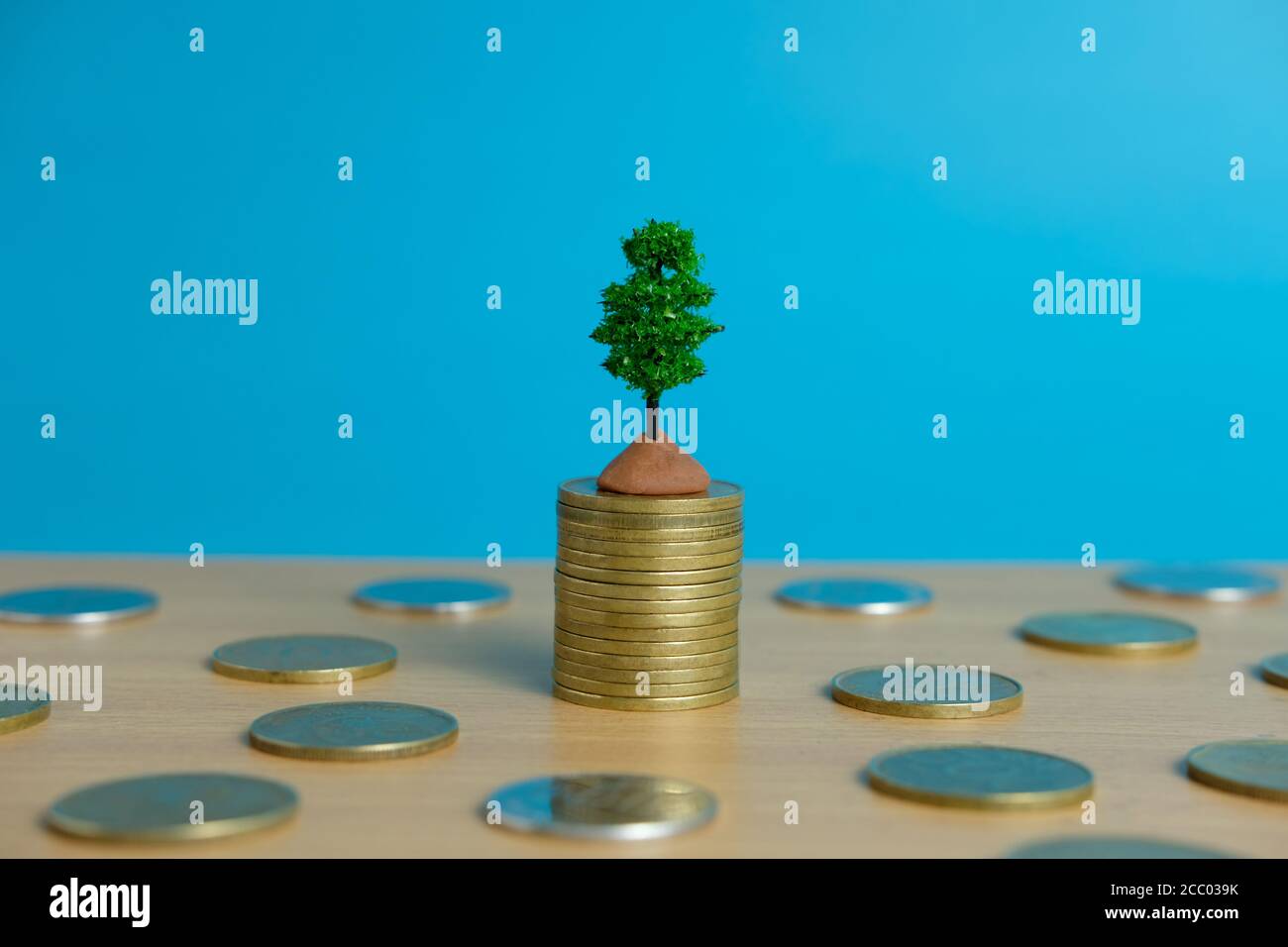 investimenti finanziari, albero di denaro in crescita su pila di monete Foto Stock