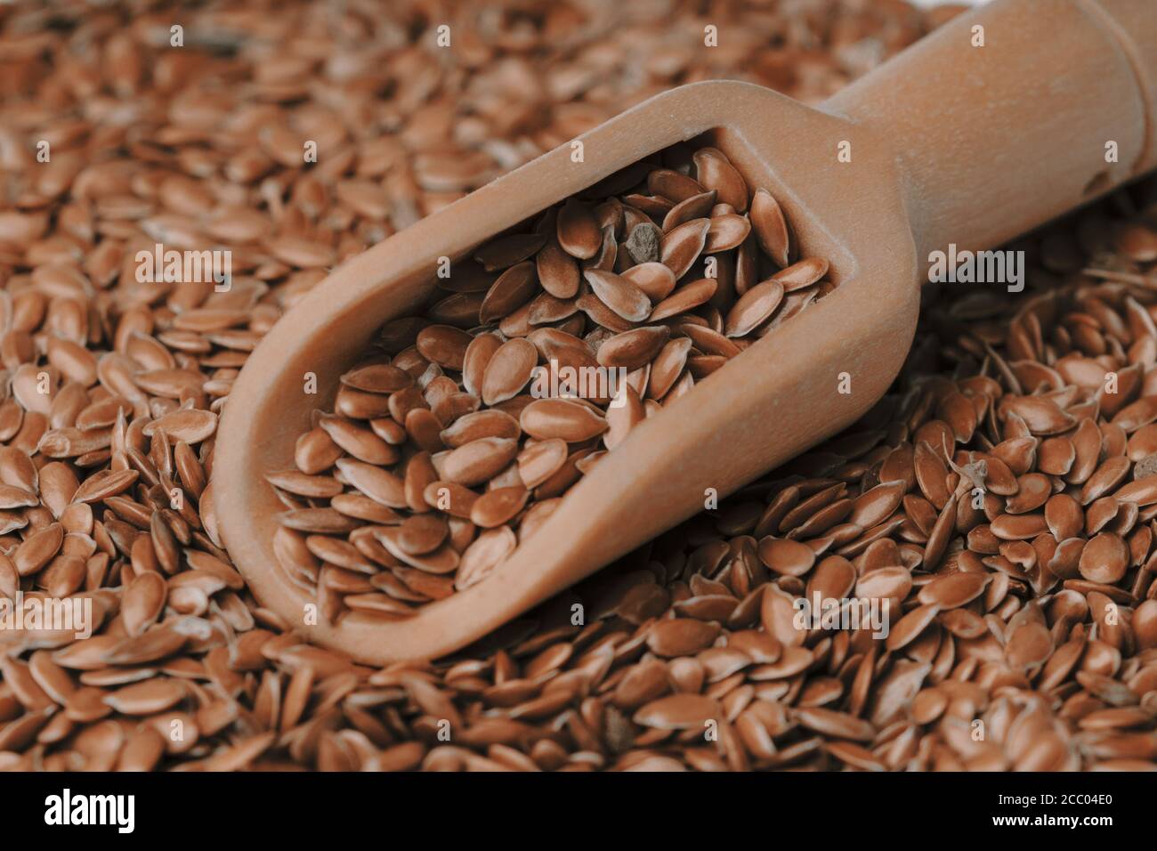 Cibo sano per prevenire malattie cardiache e sovrappeso. Linum usitatissimum sfondo Foto Stock