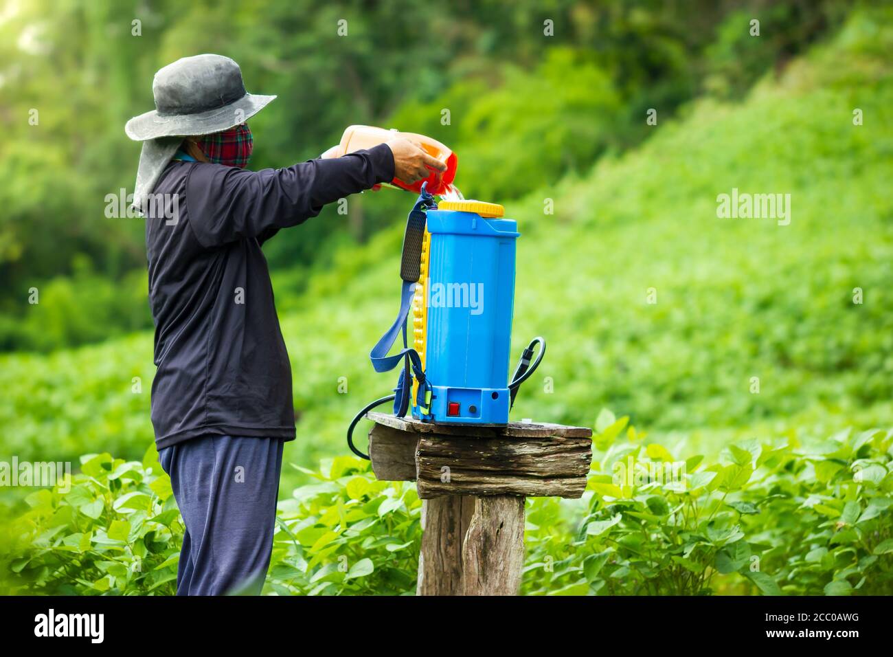 Coltivatori stanno preparando spruzzando insetticida in campo di soia. Spazio di copia per il testo. Concetto di campagna per smettere di usare insetticida e erbicidi in un Foto Stock