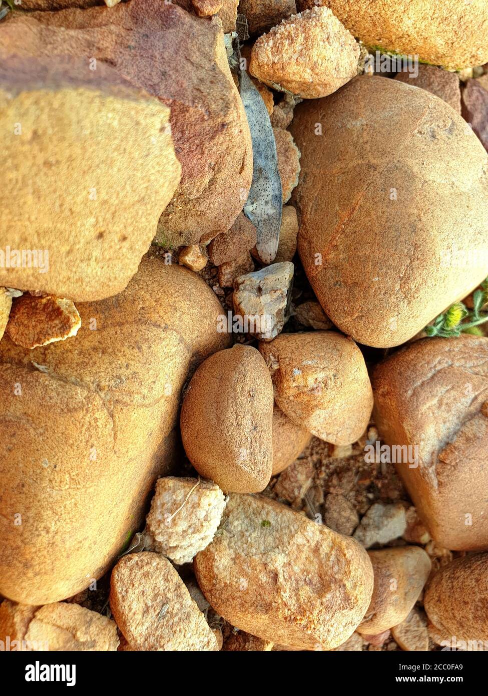 Molte pietre marroni sul suolo. Molto bello. Foto Stock