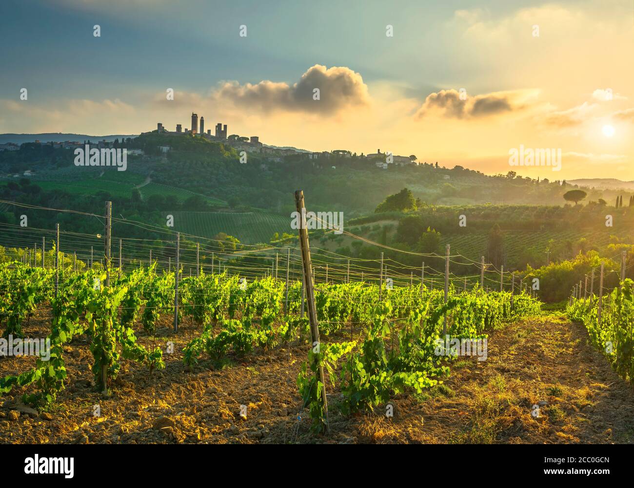 San Gimignano Medieval Town torri skyline e vigneti paesaggio di campagna panorama su sunrise. Toscana, Italia, Europa. Foto Stock