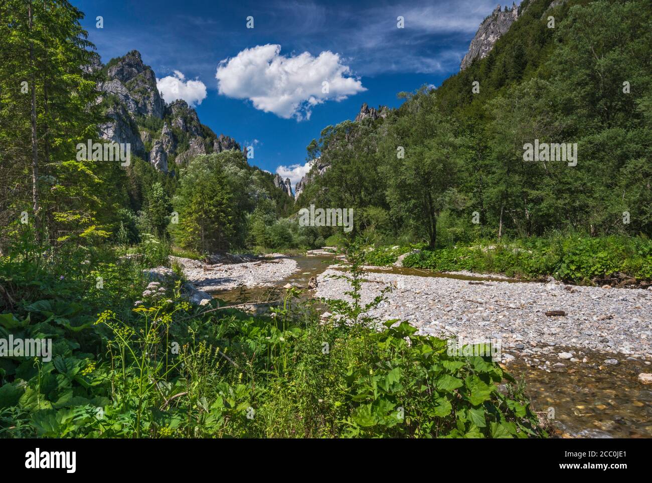 Formazioni rocciose dolomitiche-calcaree nella gola di Tiesnavy, nella valle di Vratna, nel Parco Nazionale di Mala Fatra, vicino al villaggio di Terchova, nella regione di Zilina, in Slovacchia Foto Stock