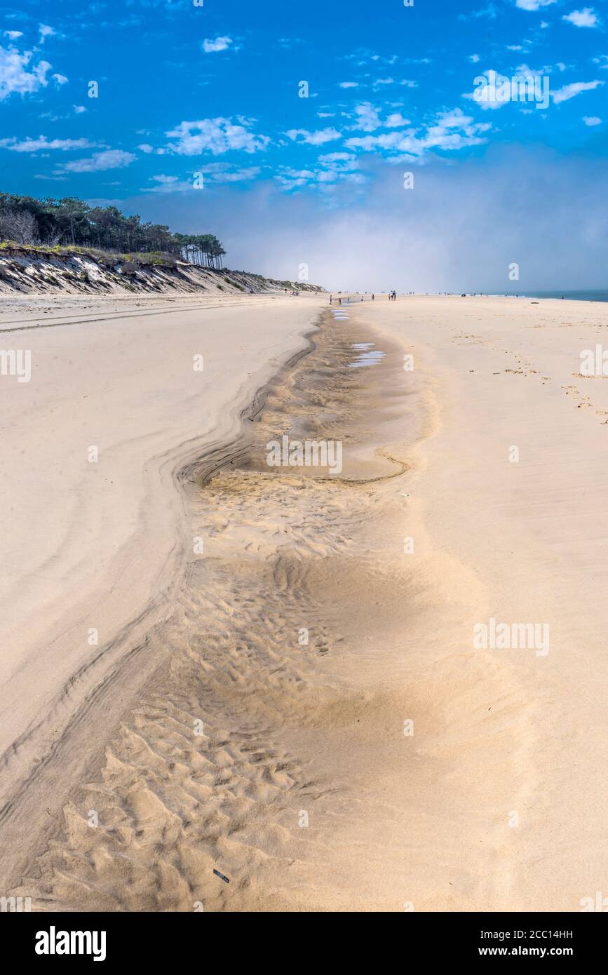 Francia, Nuova Aquitania, baia di Arcachon, Gironda, formazione di una baina a bassa marea tra la spiaggia di Petit Nice e la spiaggia di Lagune e nebbia nel backgro Foto Stock