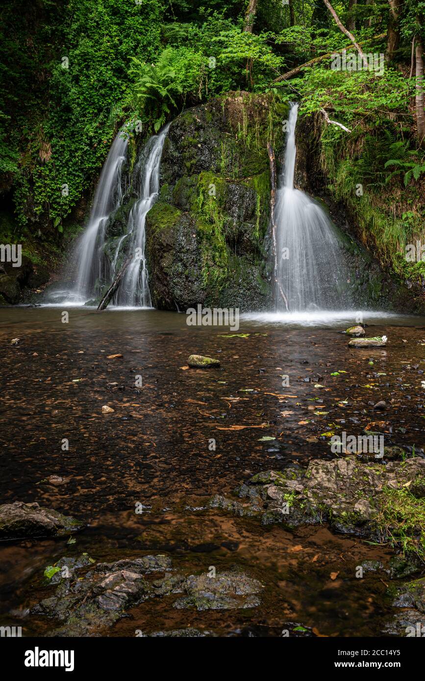 Cascate nel Fairy Glen sulla Black Isle nelle Highlands della Scozia, la glen è una riserva naturale situata vicino al villaggio di Rosemarkie. Foto Stock