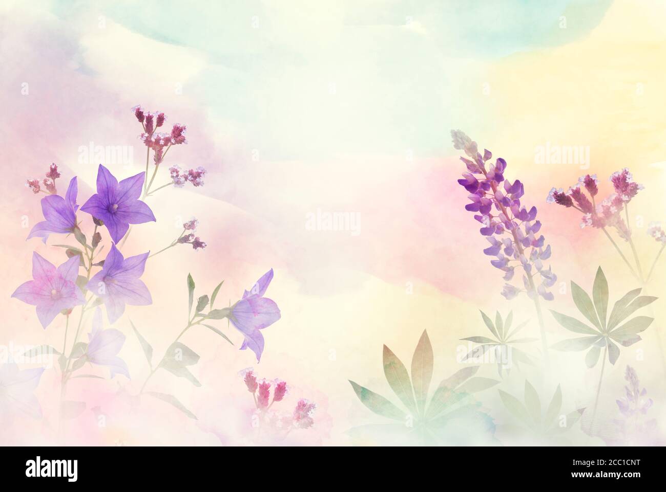 Composizione floreale primaverile realizzata con fiori colorati su sfondo pastello chiaro. Messa a fuoco morbida. Foto Stock