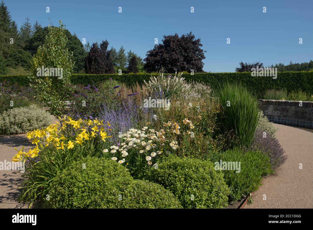 Colorato Estate fiorire confine erbaceo con russo Sage, Buddleja, Daisies, Daylily e Alstroemeria che crescono in un Country Cottage Garden Foto Stock