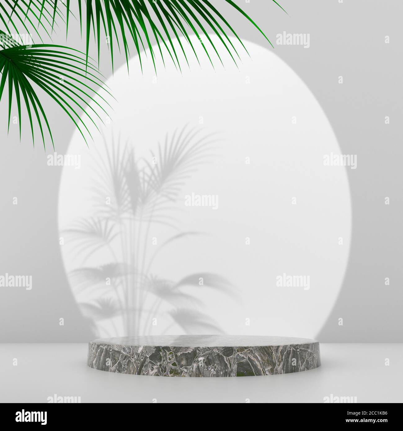 Un piedistallo in marmo illuminato da un luminoso faretto. Sullo sfondo, l'ombra di una palma, i cui rami pendono sul podio. Layout per professionisti Foto Stock