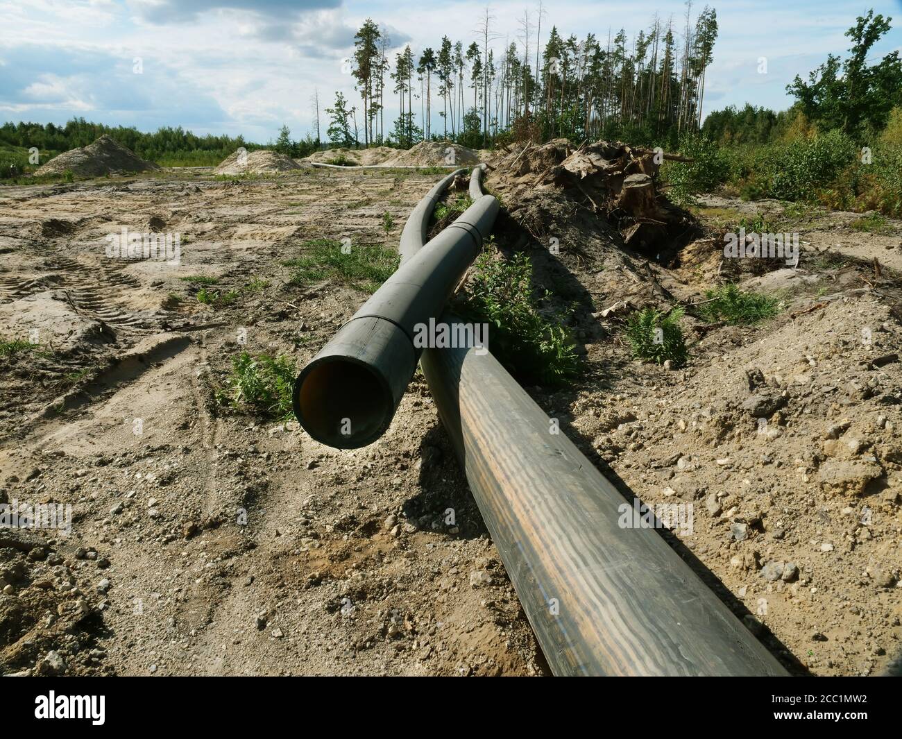 Deforestazione e impatto umano sull'ambiente. I tubi si trovano nella foresta. Foto Stock