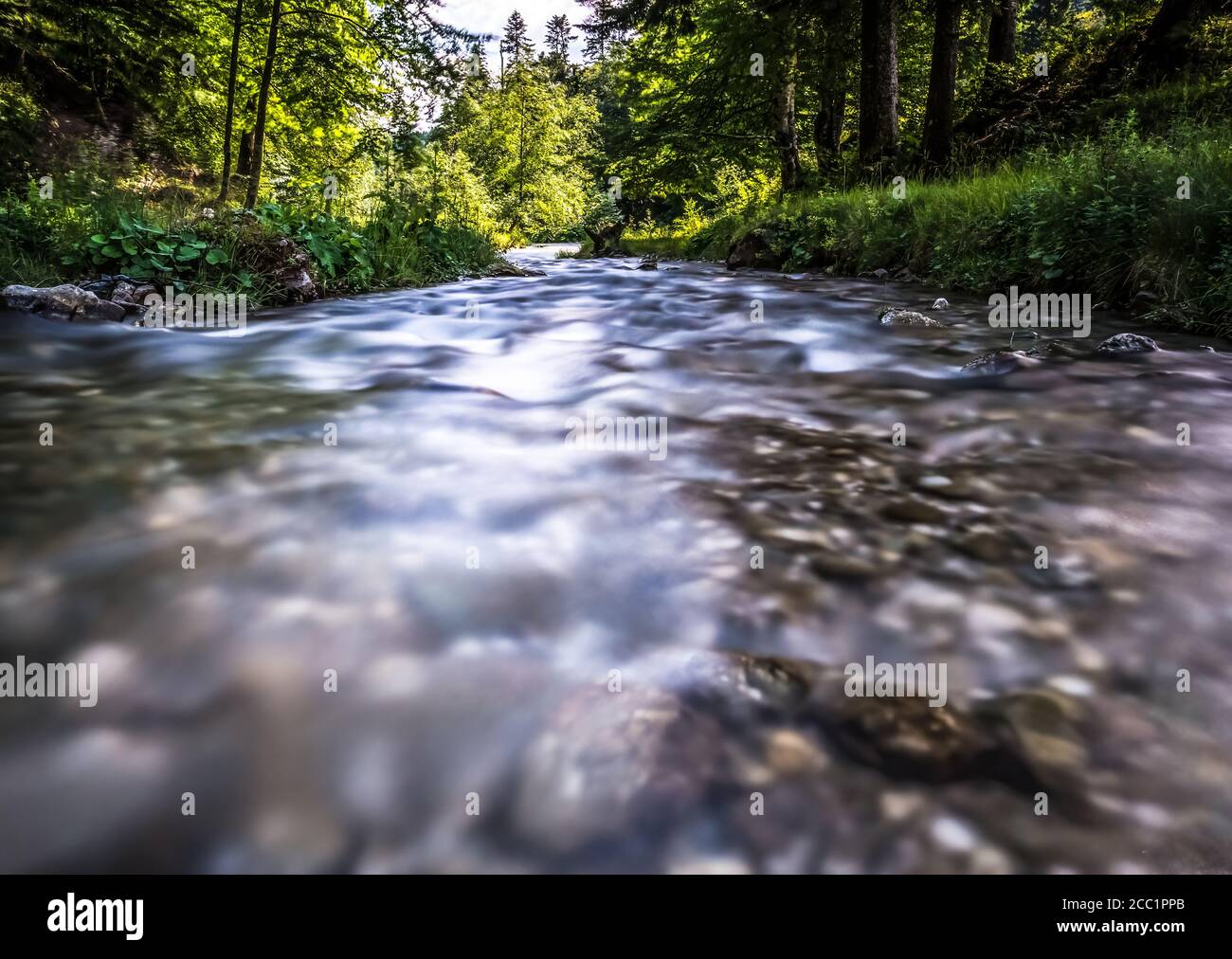 Ruscello che scorre senza intoppi tra le rocce in montagna. Foto Stock