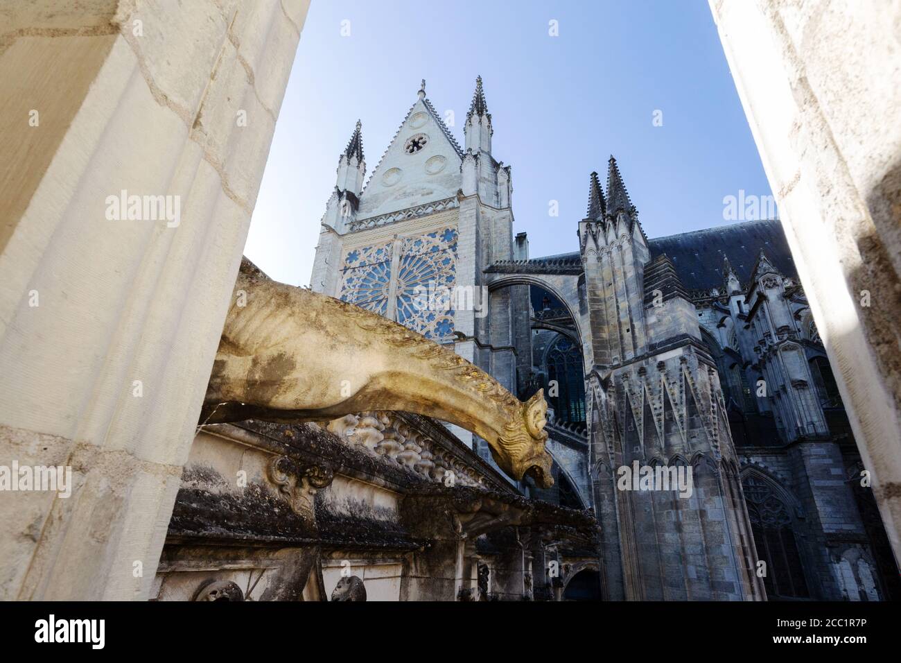 Gargoyle nel chiostro della cattedrale di Tours, la Cattedrale 12 ° secolo di Saint Gatien ( Cattedrale di St Gatien ), Tours, Francia Europa Foto Stock