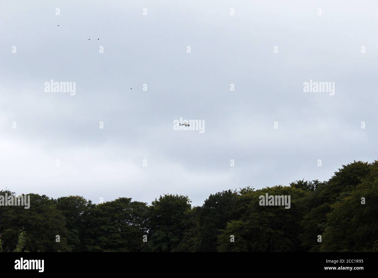 Elicottero di polizia che sorvola Tippett House tra una foresta a Smithills, Inghilterra Foto Stock