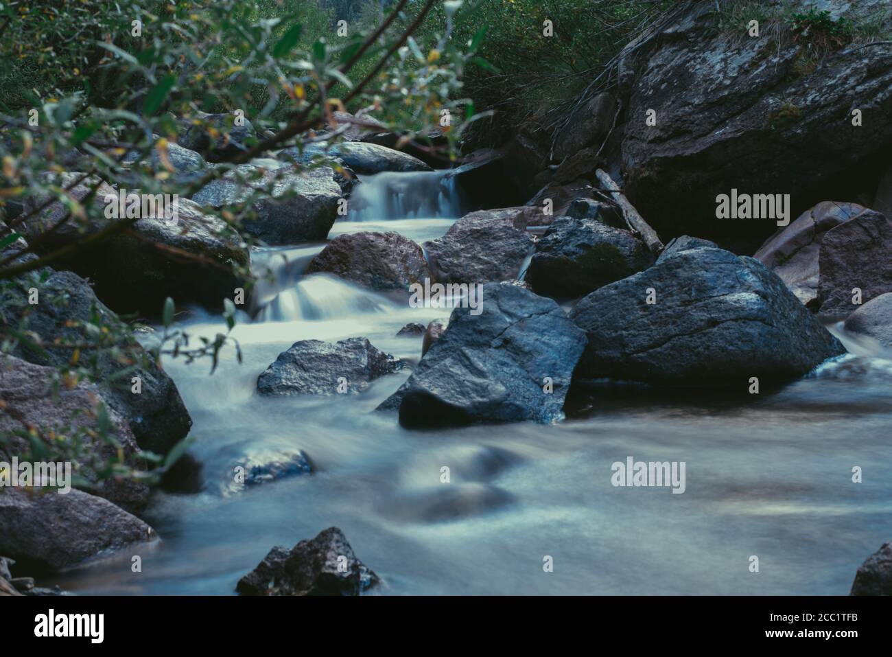 Misty torrente di montagna Foto Stock