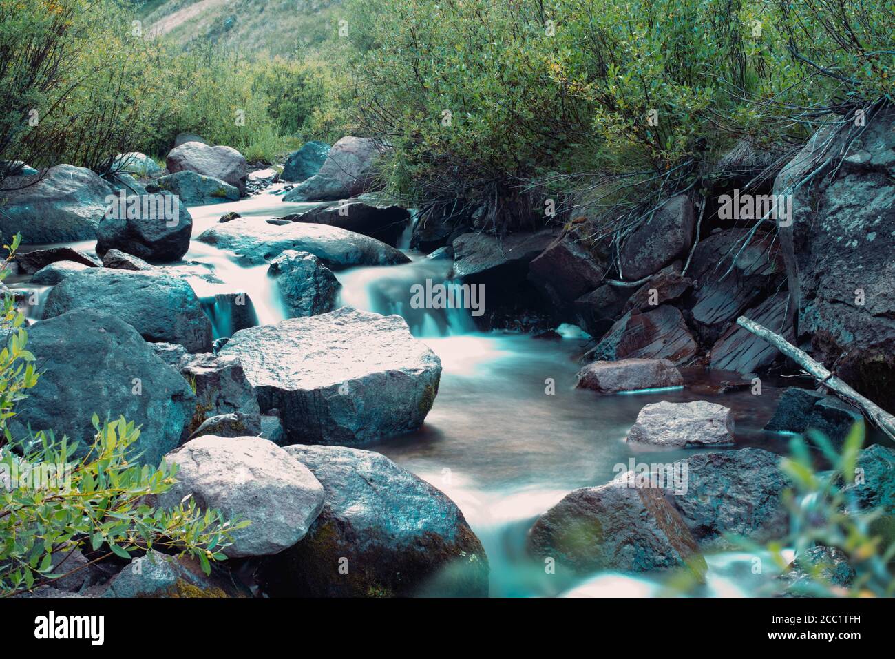 Misty torrente di montagna Foto Stock