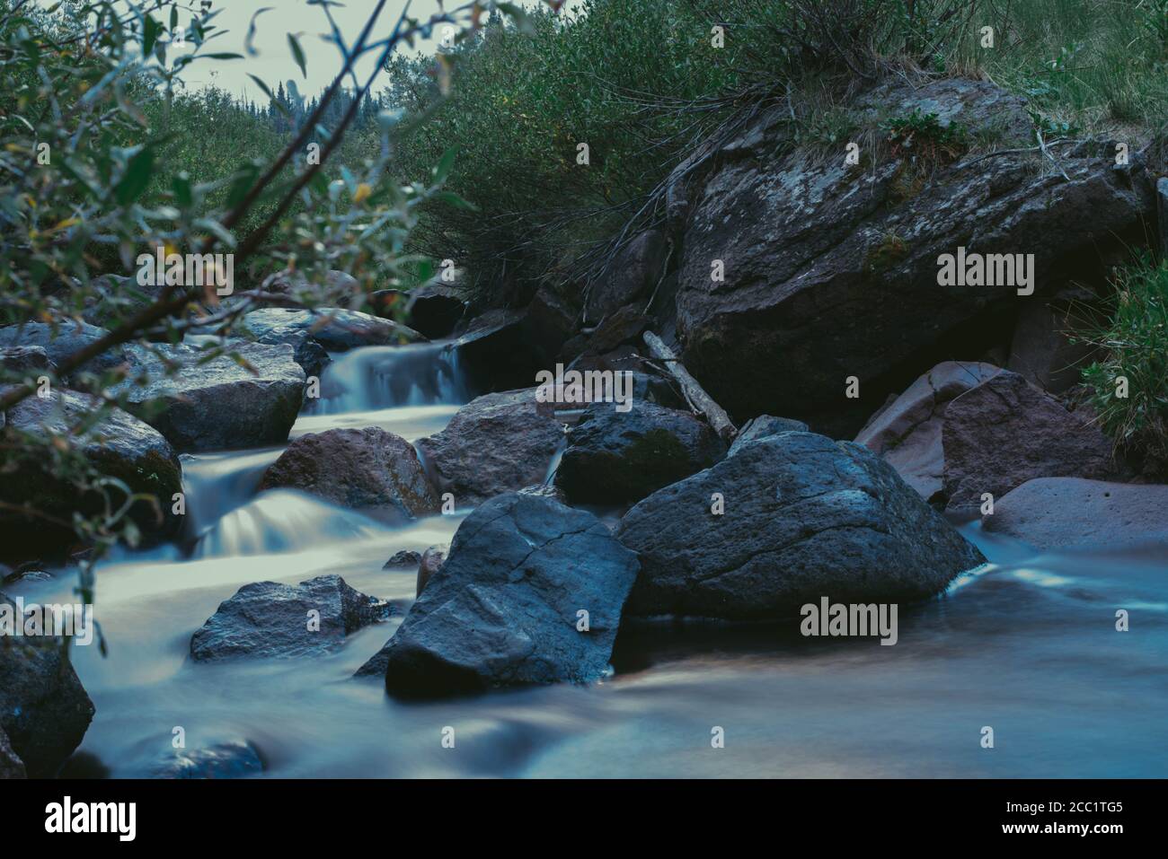 Misty torrente di montagna Foto Stock