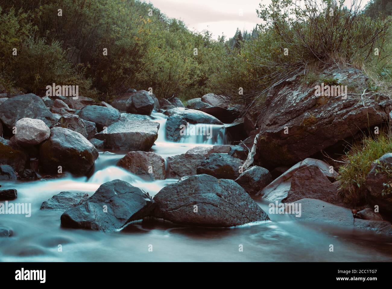 Misty torrente di montagna Foto Stock