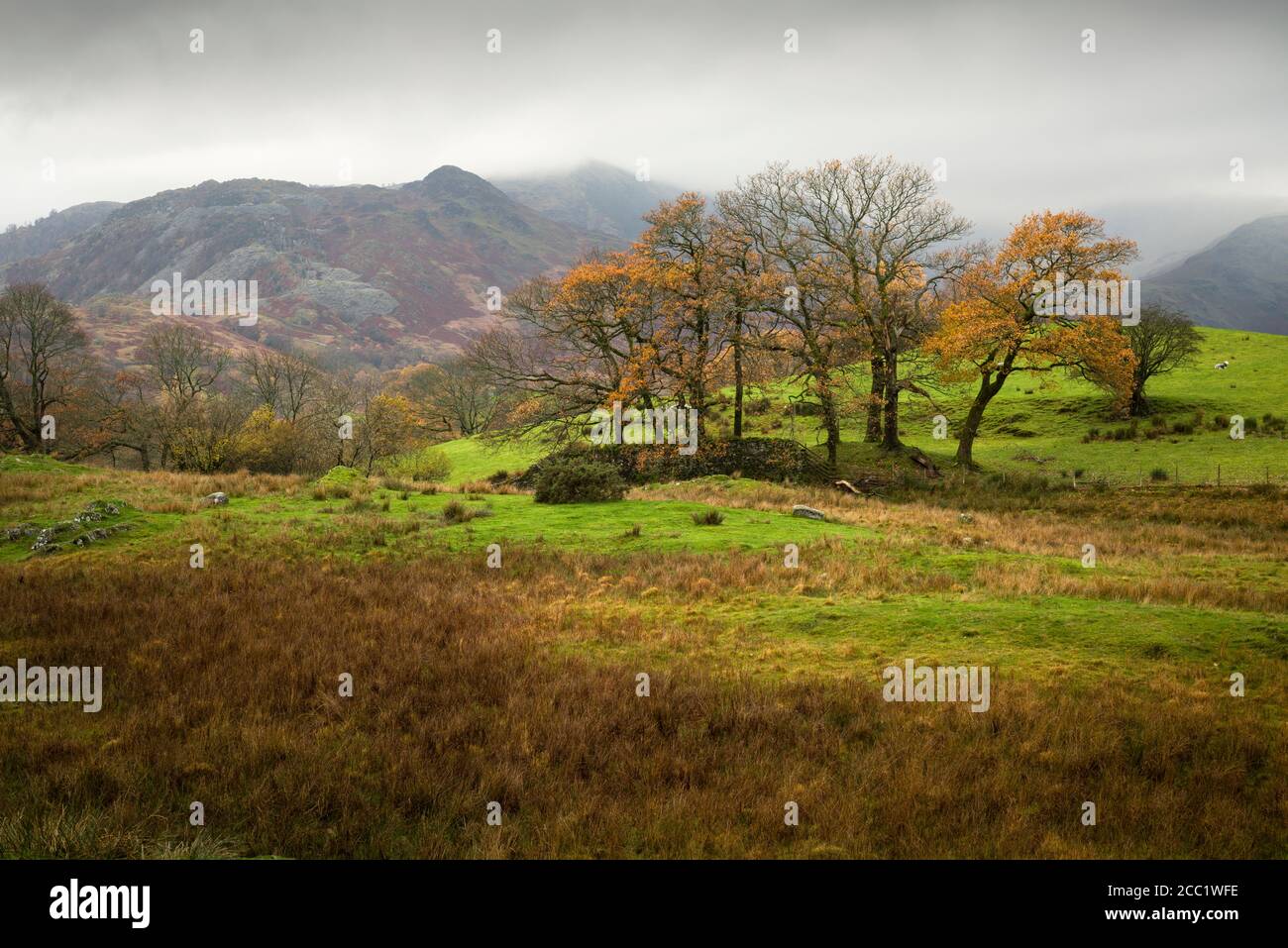 Low Fell e Wetherlam da Dale End vicino a Little Langdale nel Lake District National Park, Cumbria, Inghilterra. Foto Stock