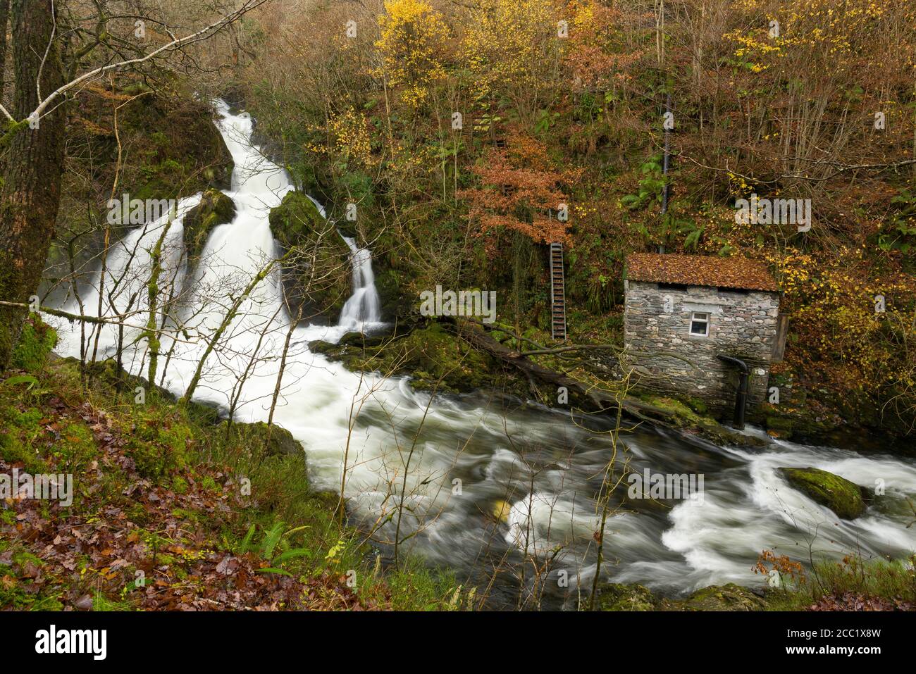 Colwith Force cascata sul fiume Brathay in bosco nel Lake District National Park, Cumbria, Inghilterra. Foto Stock