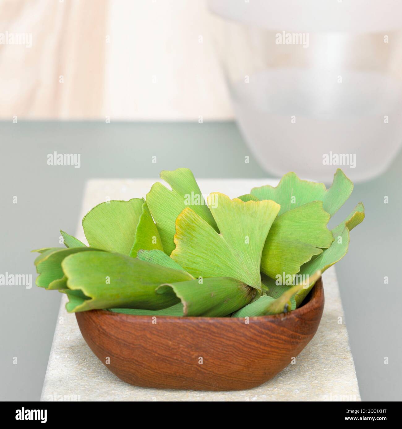 Foglie di Ginkgo in ciotola di legno (Ginkgo biloba) Foto Stock