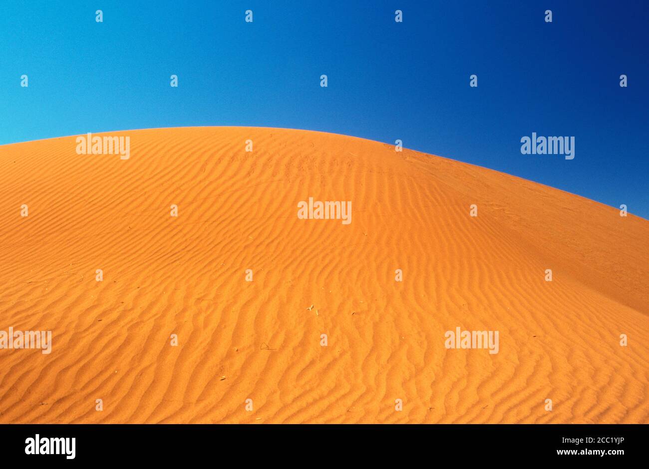 Dune, Red Centre, Territorio del Nord, l'Australia Foto Stock