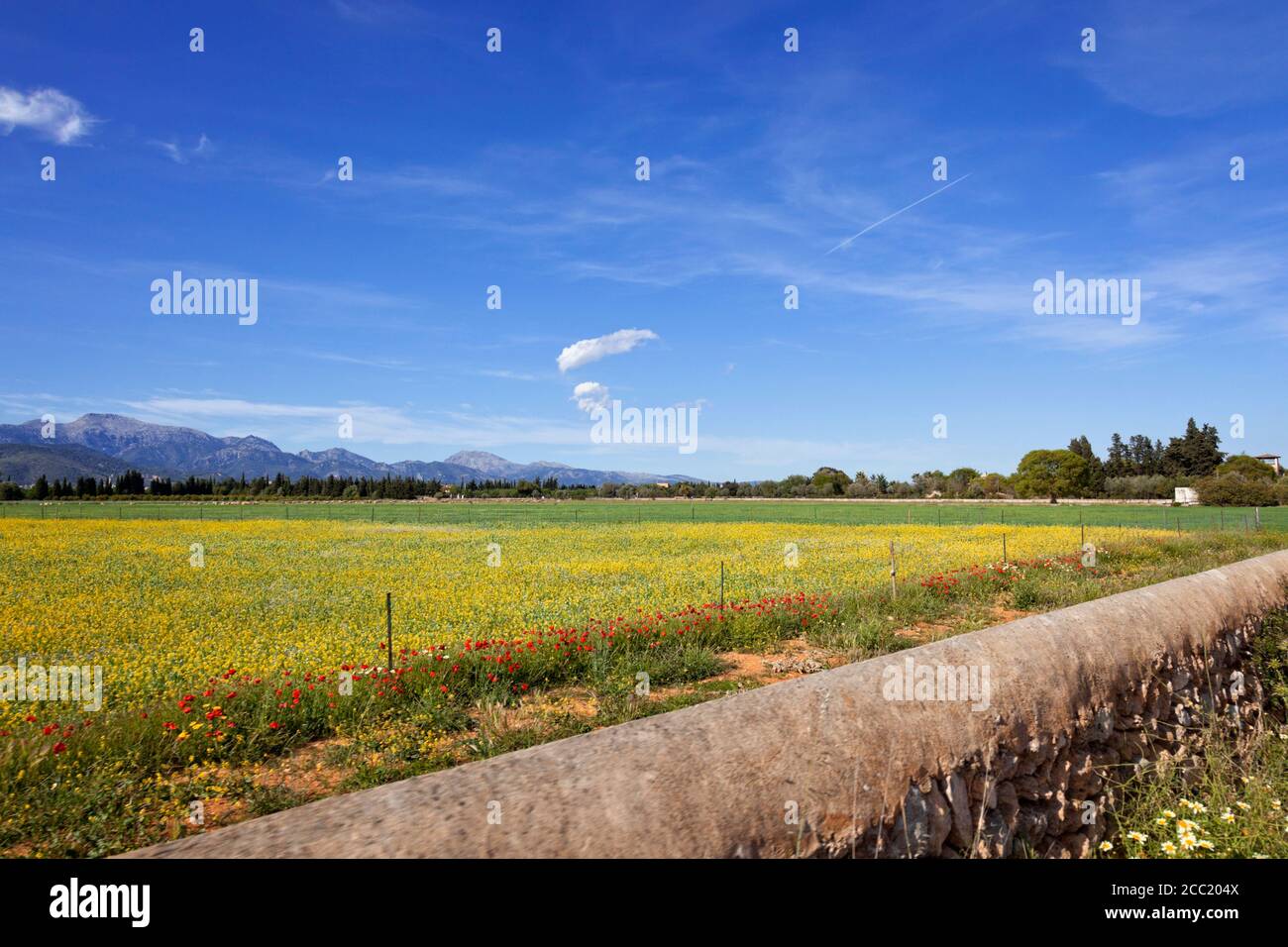 Spagna, Mallorca, vista di terreni agricoli Foto Stock