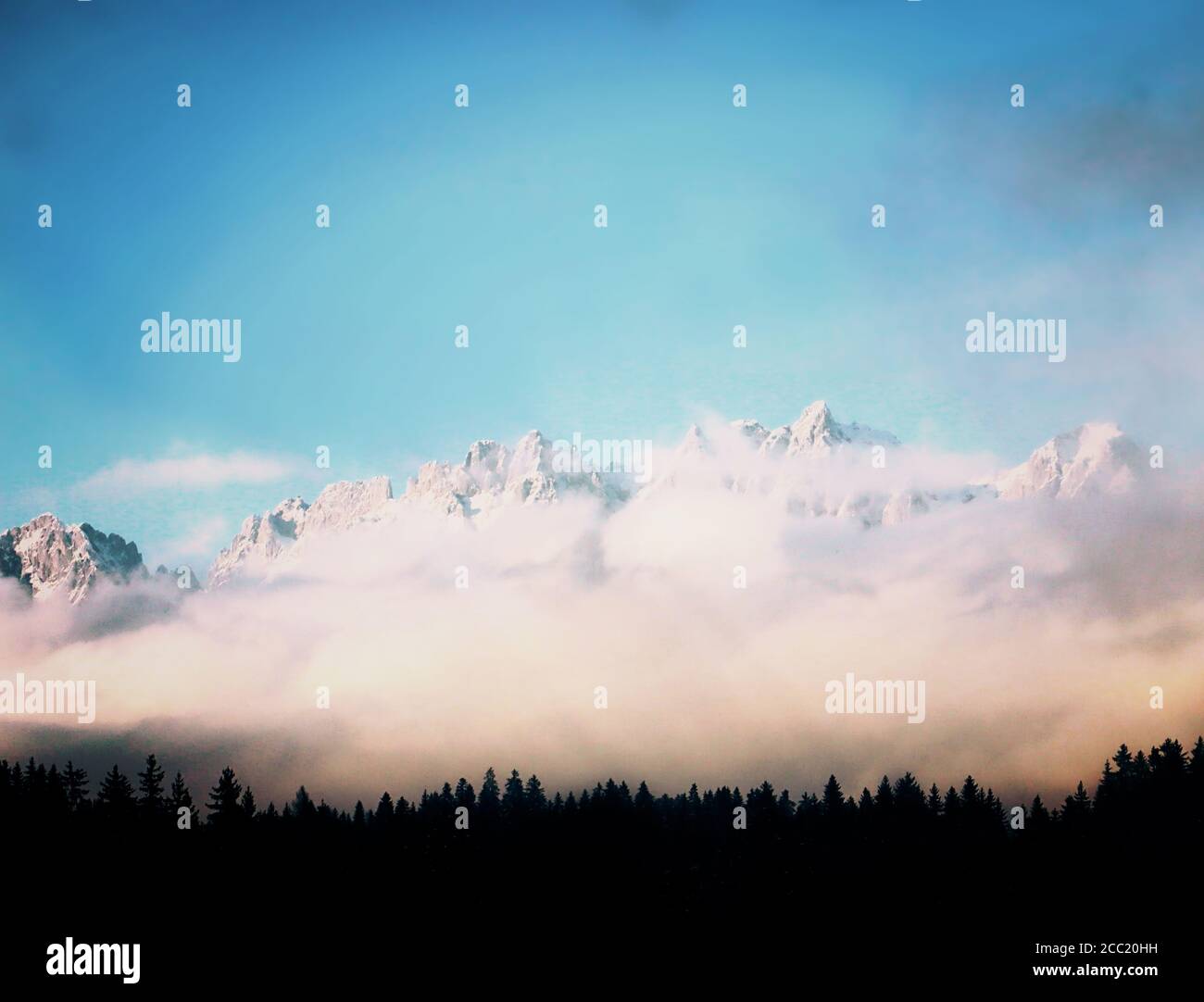Splendida vista sulle Alpi austriache circondata da nuvole inferiori e. torreggiante sulla foresta di abeti Foto Stock