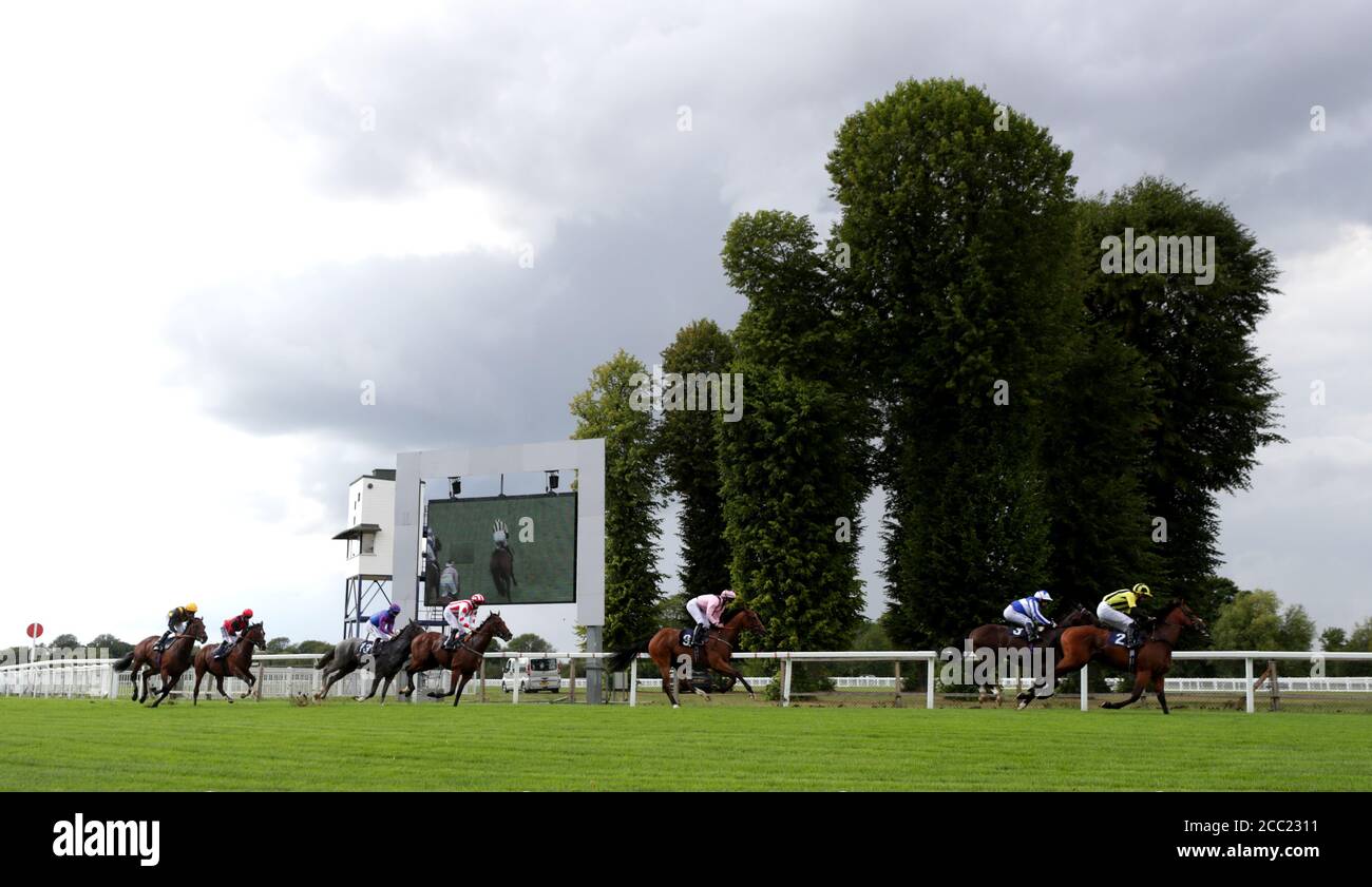 Una visione generale dei corridori e dei piloti nel British Stallion Stacchs EBF Maiden Stakes all'Ippodromo di Windsor. Foto Stock