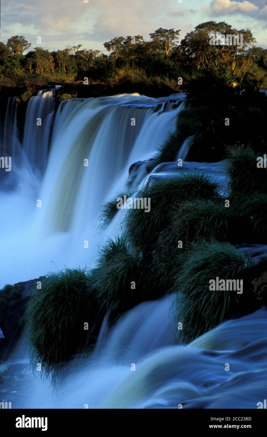 Cascate Iguacu, Brasile Foto Stock