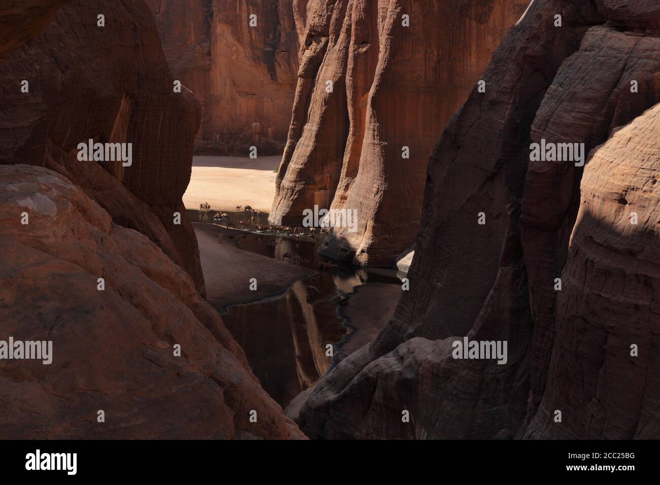 Africa, Ciad, Vista di Guelta d'Archei alla catena Ennedi Foto Stock