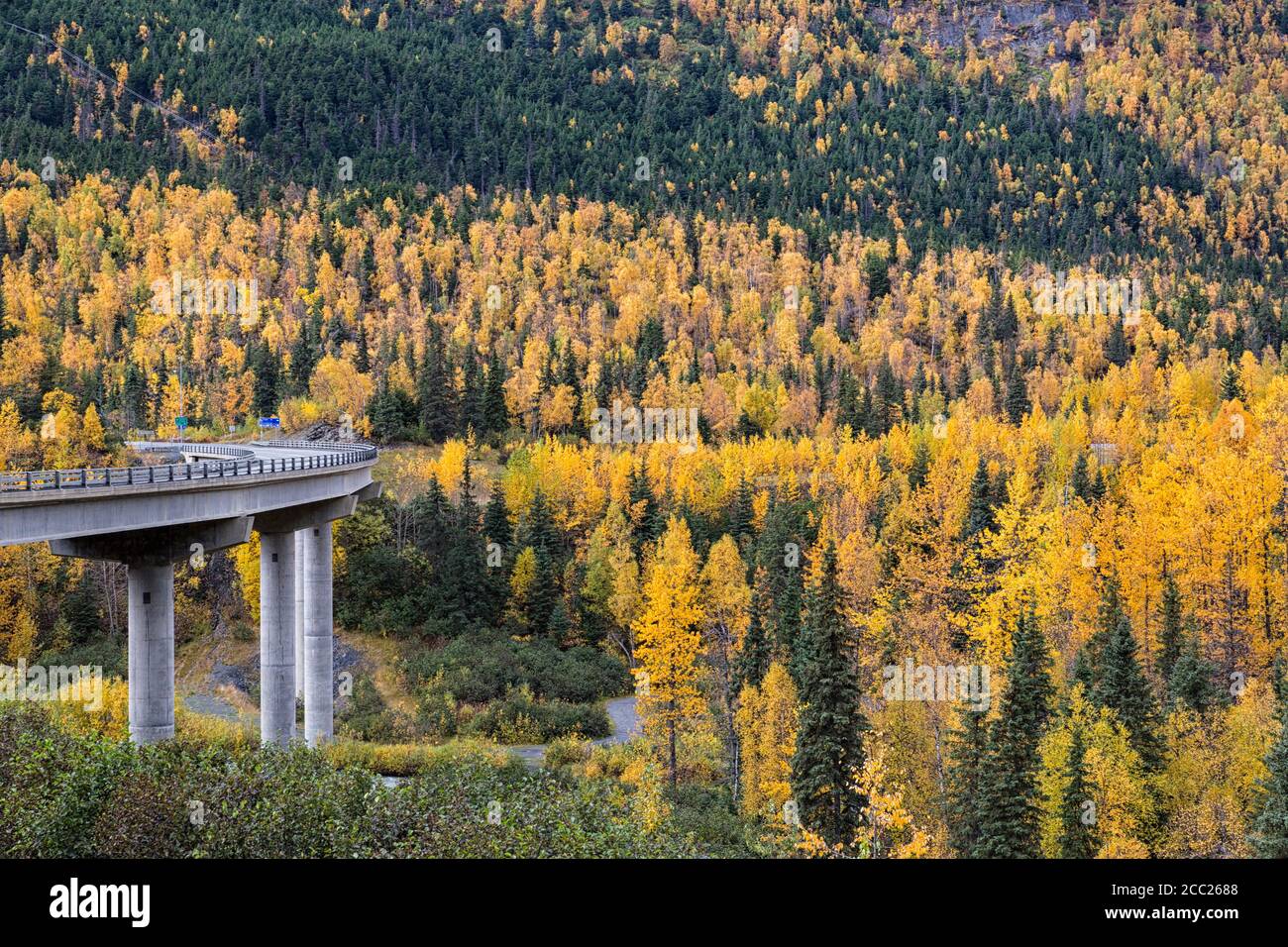 Stati Uniti d'America, Alaska, ponte su sei miglia Creek Foto Stock