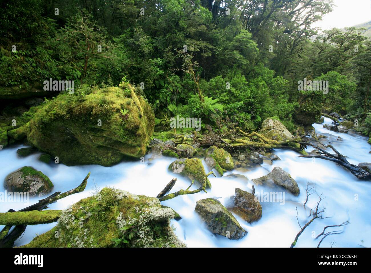 Nuova Zelanda, Torrente di montagna, acqua bianca Foto Stock