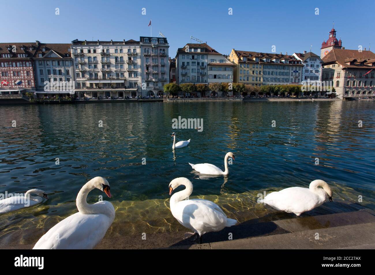 La Svizzera, Lucerna, Citiscape Foto Stock