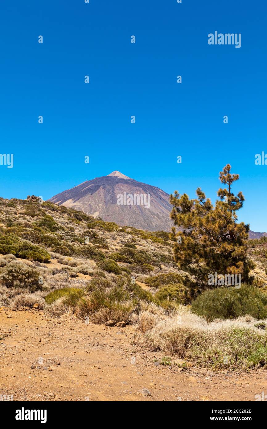 In Spagna, in vista del Parco Nazionale del Teide Foto Stock