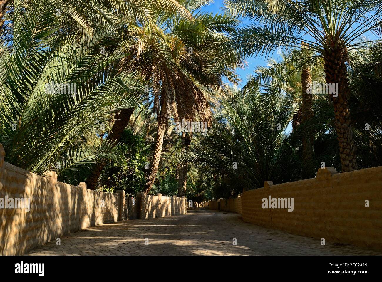 Arabia, Emirati Arabi Uniti, Palm Garden di Al Ain oasi a Emirato Abu Dhabi Foto Stock
