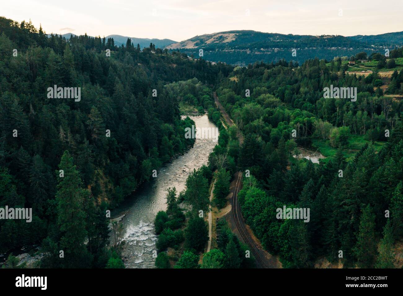 Hood River si snoda attraverso le foreste fino al fiume Columbia in OREGON. Foto Stock
