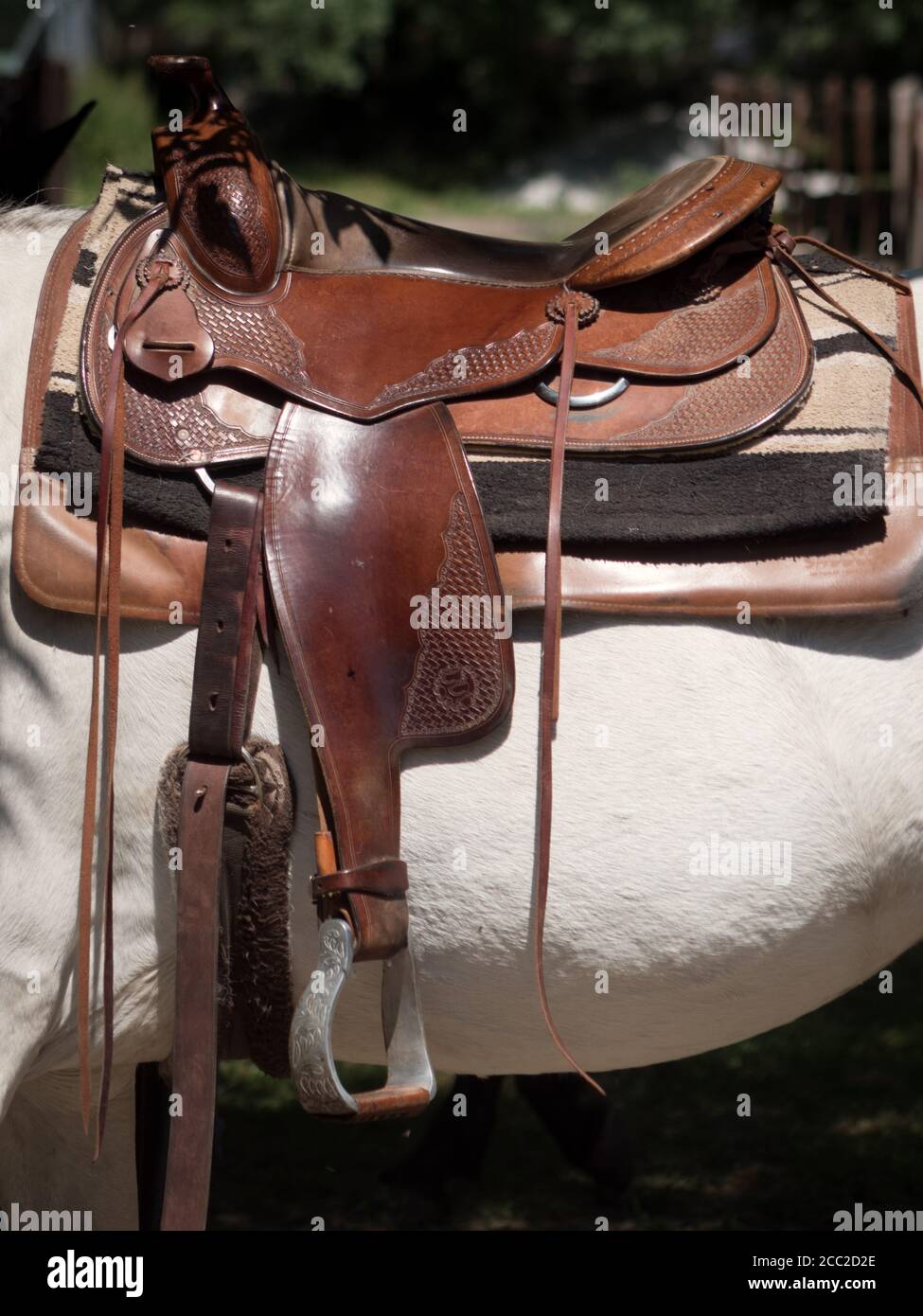 Sella occidentale su un cavallo bianco. Foto Stock Sella occidentale su un cavallo bianco. Foto Stock