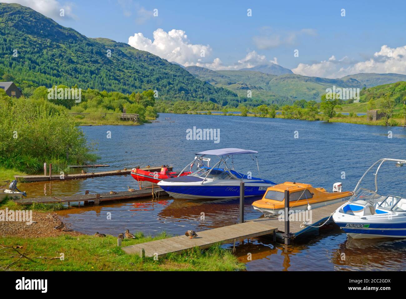 Loch Lomond a Ardlui, Argyll & Bute, Scozia. Foto Stock