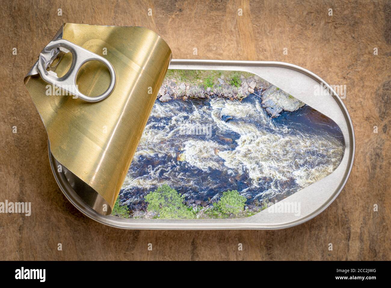 acqua bianca fresca in una lattina aperta, vista dall'alto contro le texture abbaiare carta, paesaggio e preservando i ricordi concetto Foto Stock