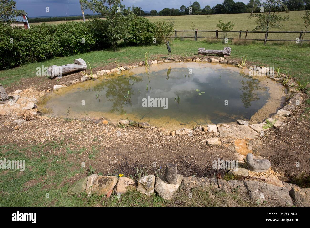 Recentemente completato grande laghetto giardino con primo impianto di piante laghetto e circondato da pietre Cotswold, Colemans Hill Farm, Mickleton, Regno Unito Foto Stock