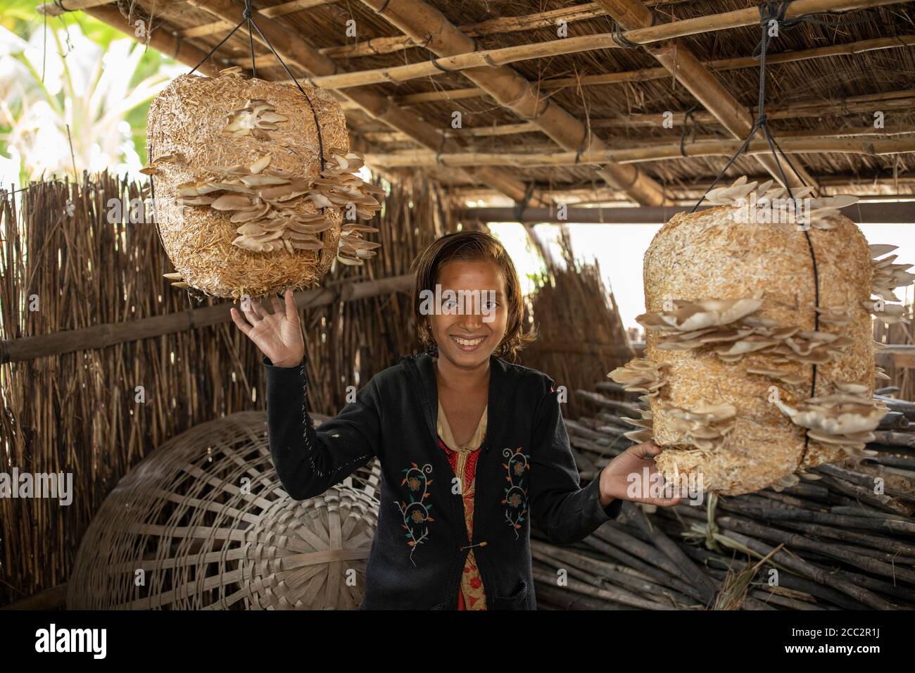 Una ragazza in Bihar, India, incline all'alluvione, coltiva i funghi appesi al soffitto della sua casa. Può trasportarli facilmente durante un periodo di alluvione, se necessario. Foto Stock
