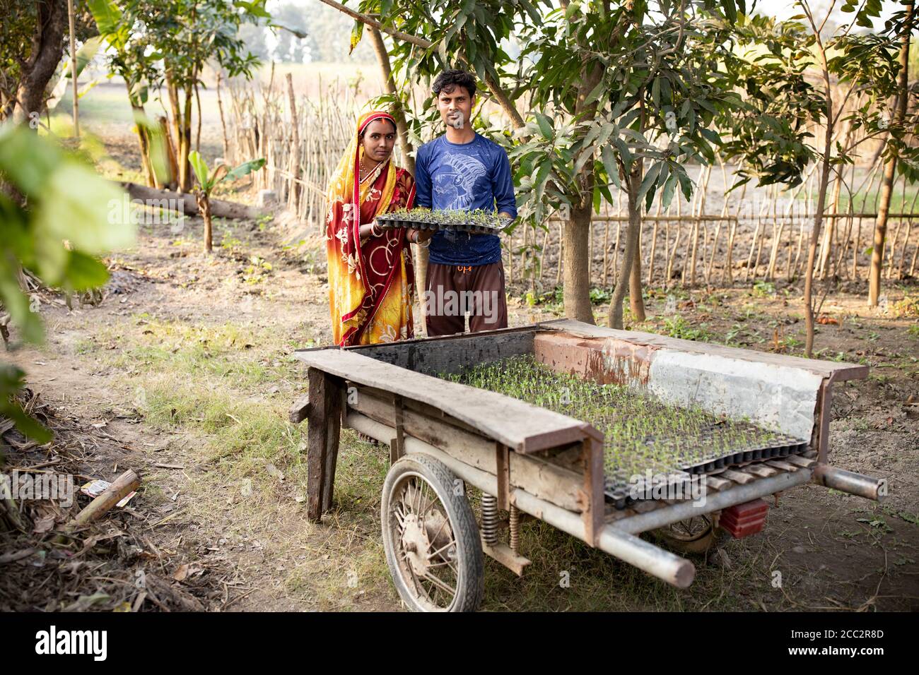 Prabhu Nath (26, R) e sua moglie Laxmi Devi (24, L) si trovano accanto a un carrello mobile per la semina nella loro fattoria nel distretto di Maharajganj, nello stato di Utttar Pradesh, in India. I letti mobili per le piantine, promossi nel quadro del Transboundary Flood Resilience Project di LWR, consentono agli agricoltori di trasportare facilmente le piantine durante un’alluvione, in modo che possano ricominciare immediatamente l’attività agricola sulla scia di un disastro del genere. Foto Stock