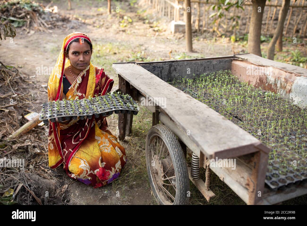 Laxmi Devi (24) si trova accanto a un carrello mobile per la semina nella sua fattoria nel distretto di Maharajganj, nello stato di Utttar Pradesh, in India. I letti mobili per le piantine, promossi nel quadro del Transboundary Flood Resilience Project di LWR, consentono agli agricoltori di trasportare facilmente le piantine durante un’alluvione, in modo che possano ricominciare immediatamente l’attività agricola sulla scia di un disastro del genere. Foto Stock