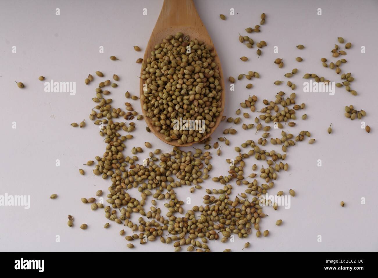 semi di coriandolo essiccati nel cucchiaio di legno, isolati su bianco. Foto Stock