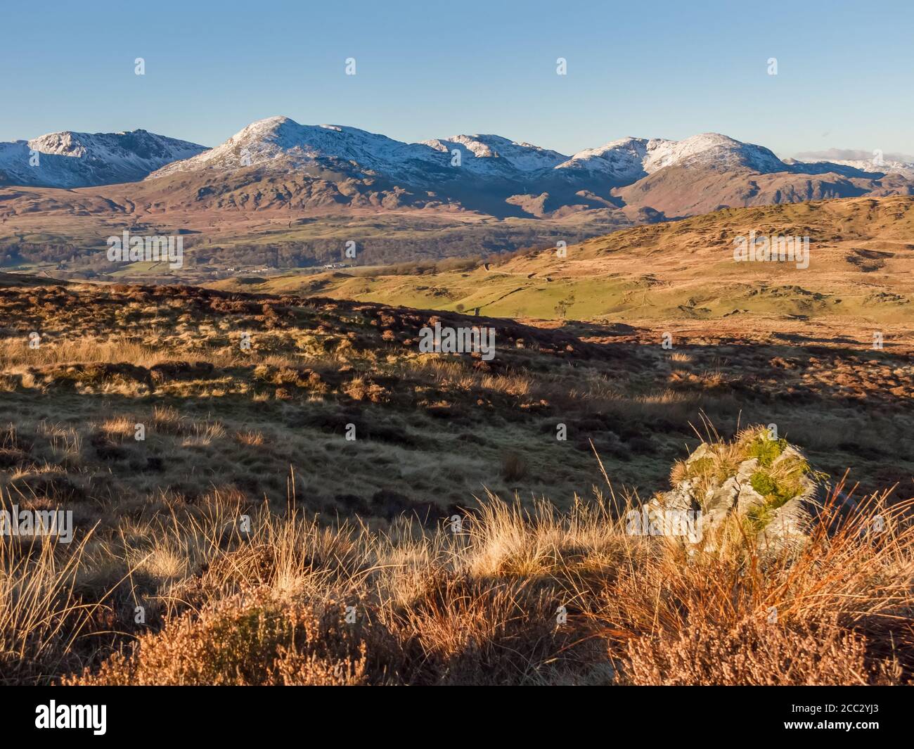 Coniston Old Man e Coniston Fells da Heel Toe Hill su Bethercar Moor. Cumbria Foto Stock