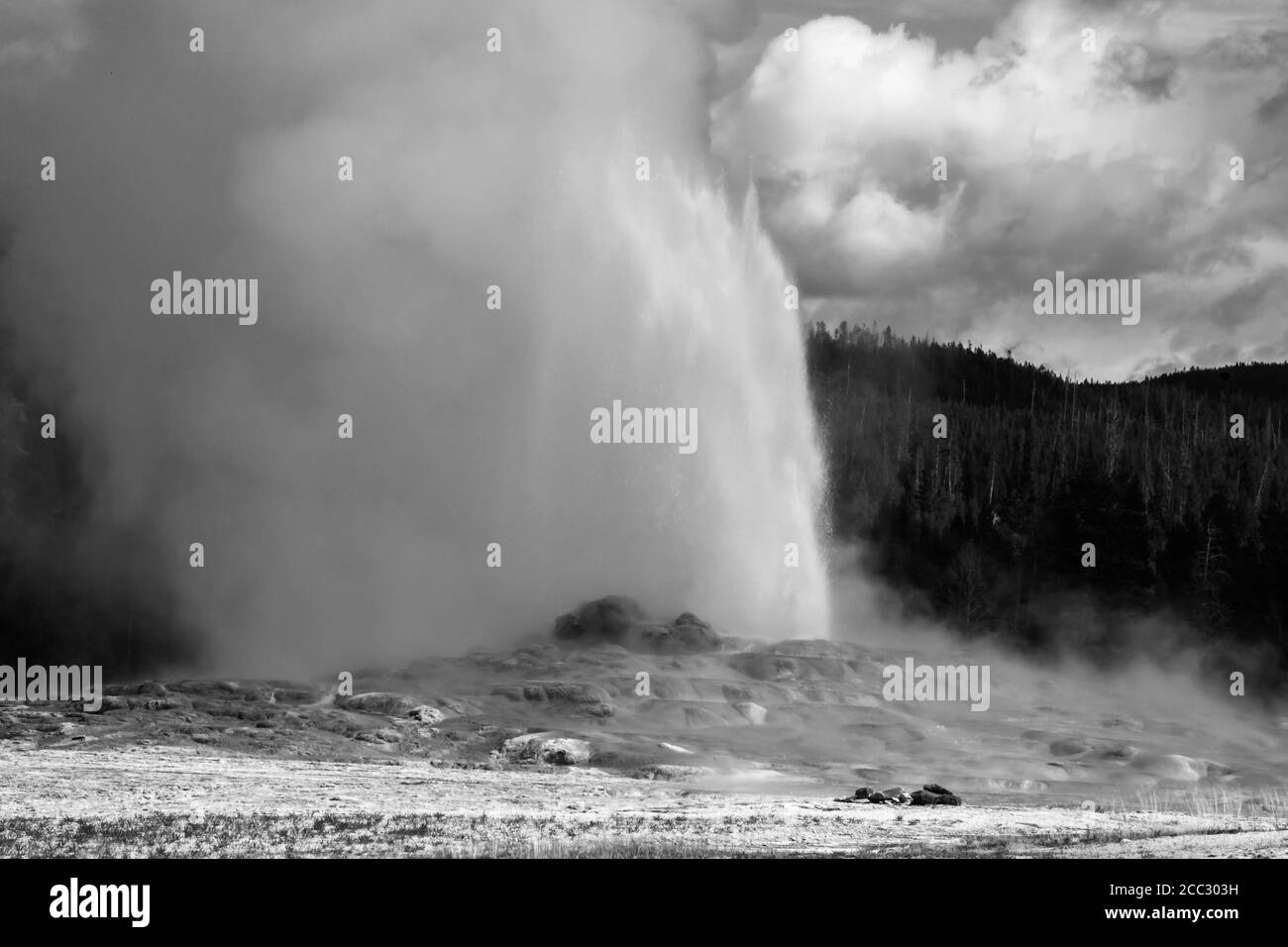 Geyser Old Faithful in bianco e nero Foto Stock